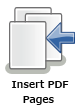 Insert PDF Pages Node