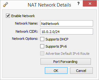 NAT Network Details