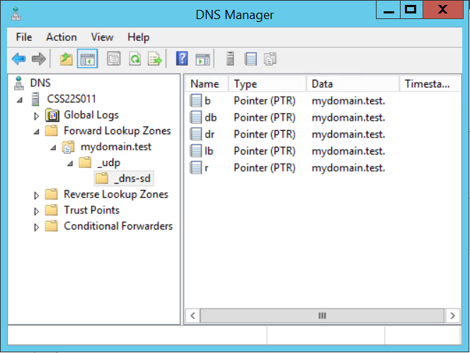 images/download/attachments/284926749/dns_manager-version-1-modificationdate-1576754646480-api-v2.png